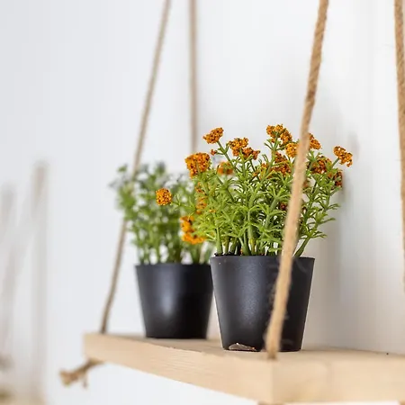 Apartamento Akti Apollona