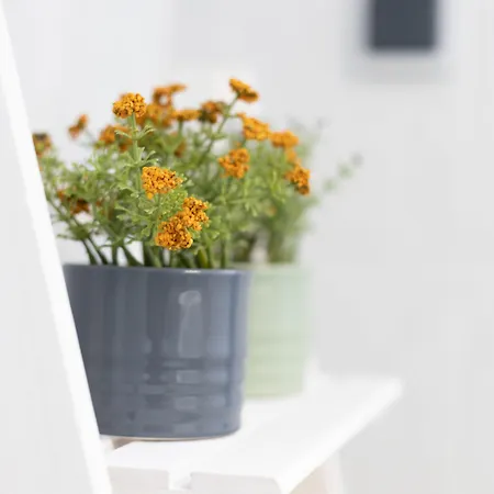 Akti Apollona 아파트