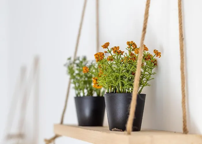 דירה Akti Apollona